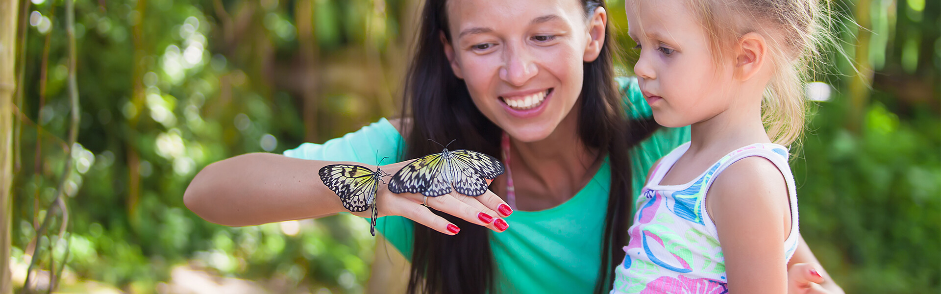 Schmetterlinge auf Hand im Dumba Park
